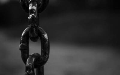 Link Game-Changer – How to Harness the Potential of Broken Links